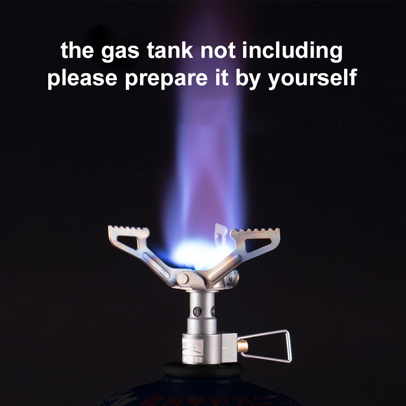 BRS-estufa de Gas para exterio - Camping Cooking Gas Stove reseña y precio